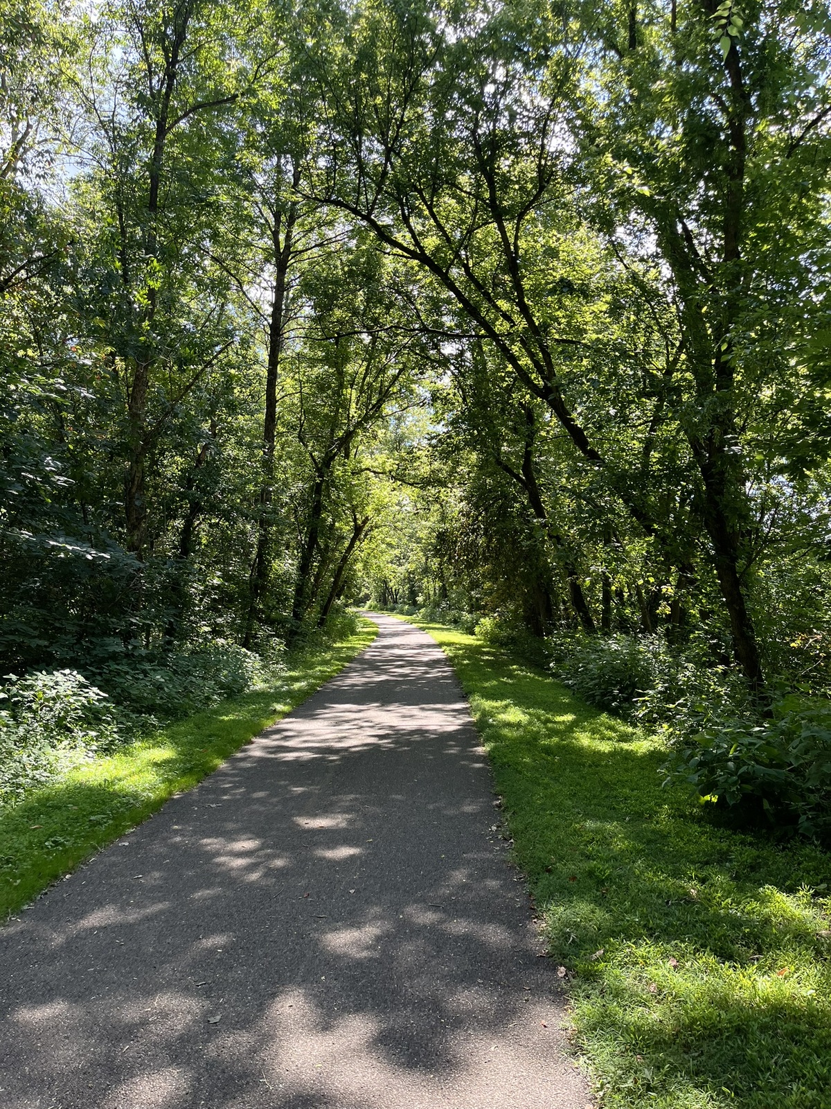 A picture of the Little Miami Scenic Trail