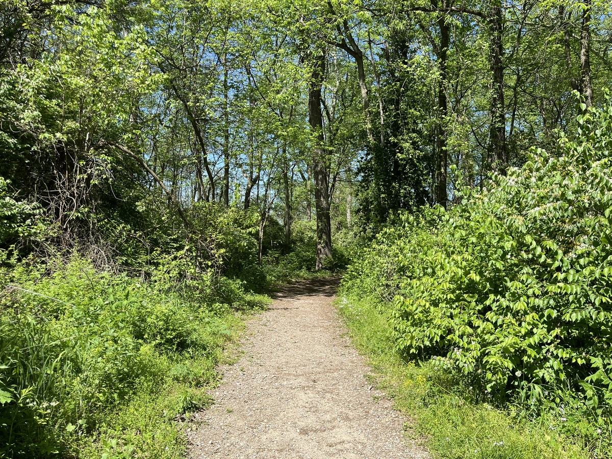 Nature trail