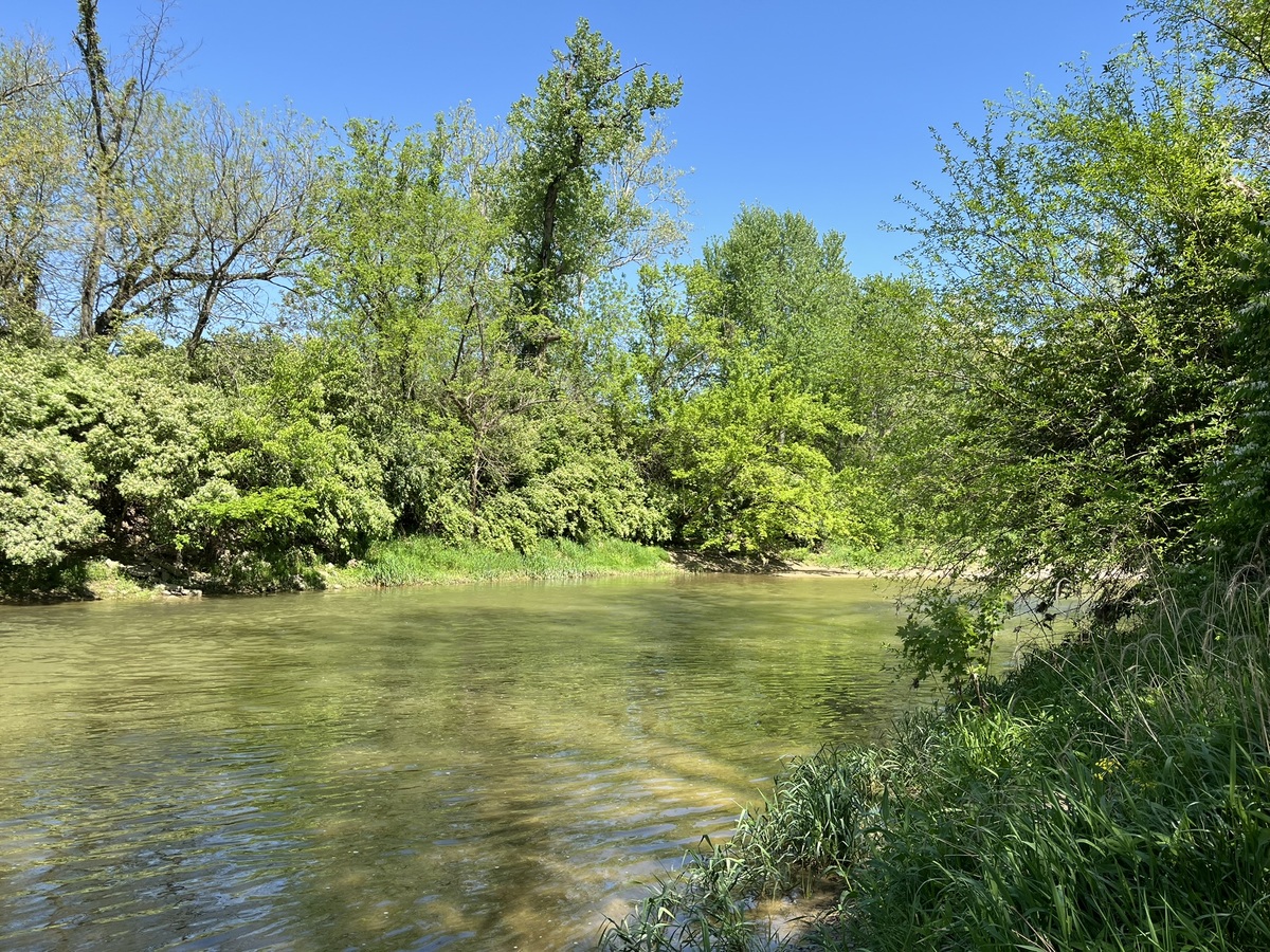 A view of Twin Creek