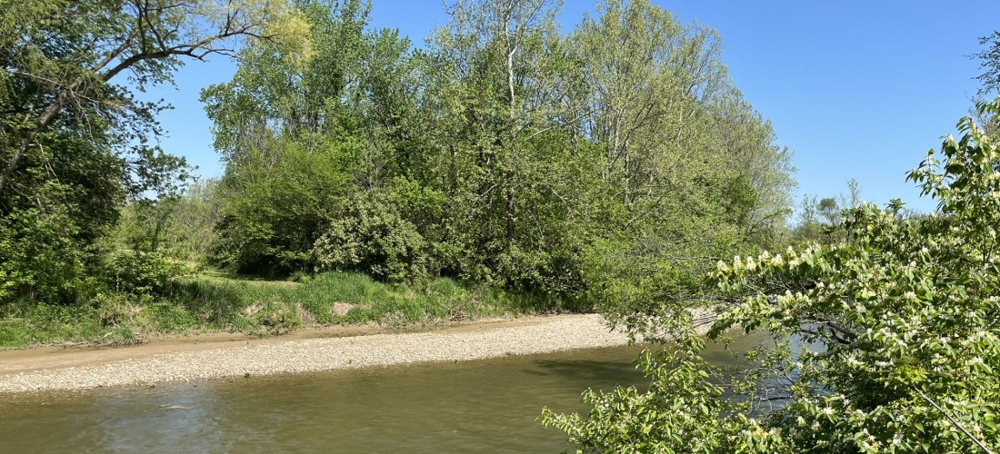 A view of Twin Creek