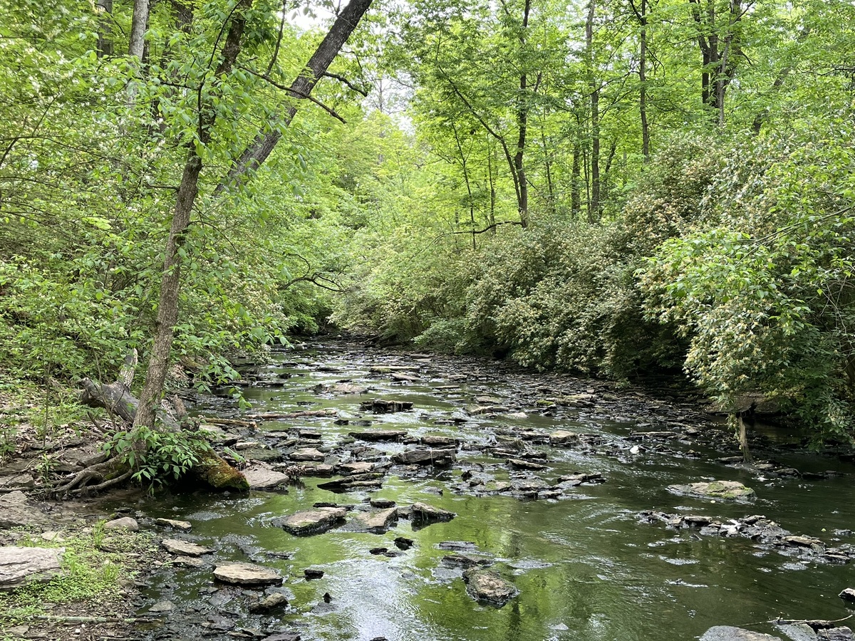 Landen Deerfield Park - Warren County Park District