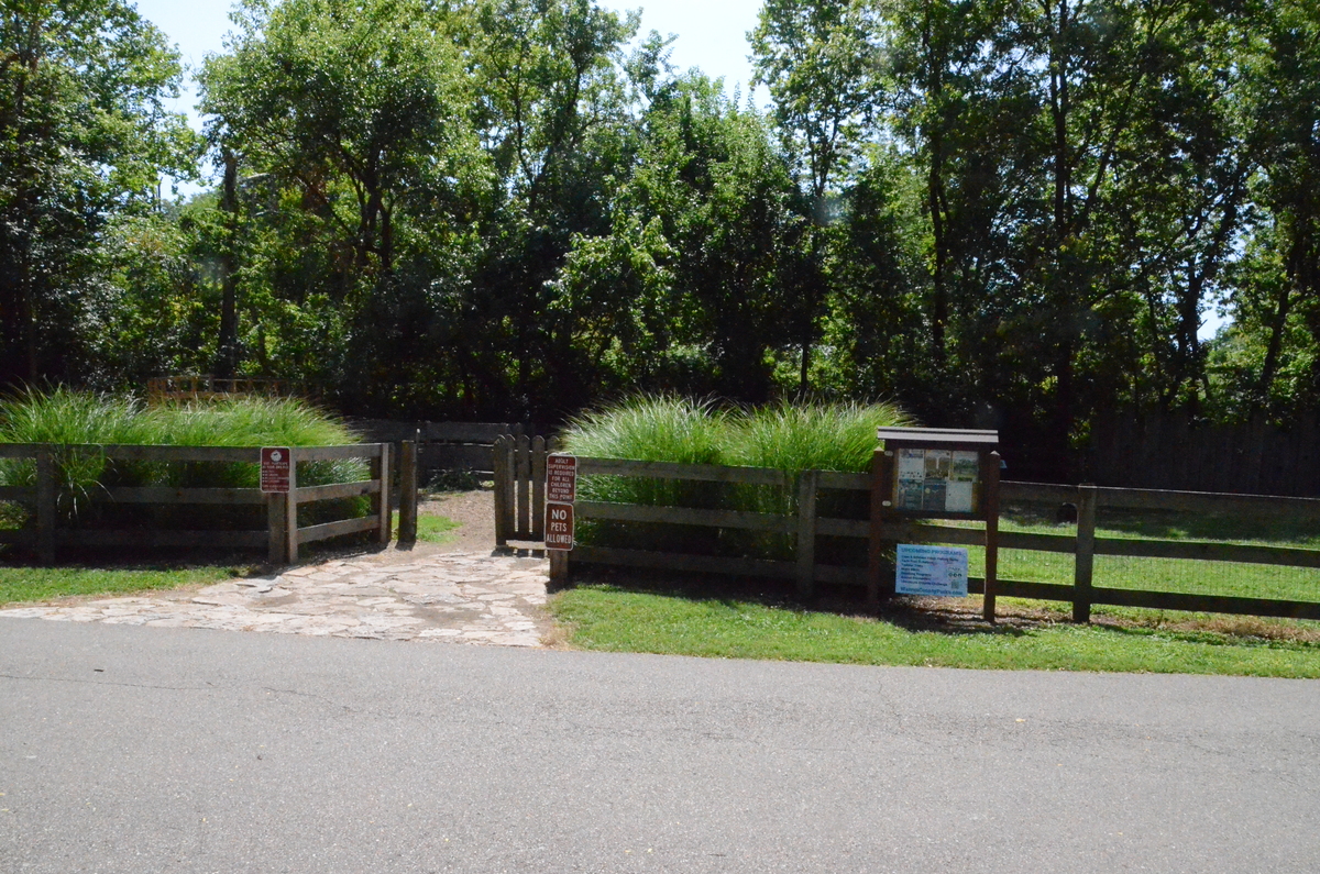 Nature Playscape